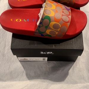 Coach slides